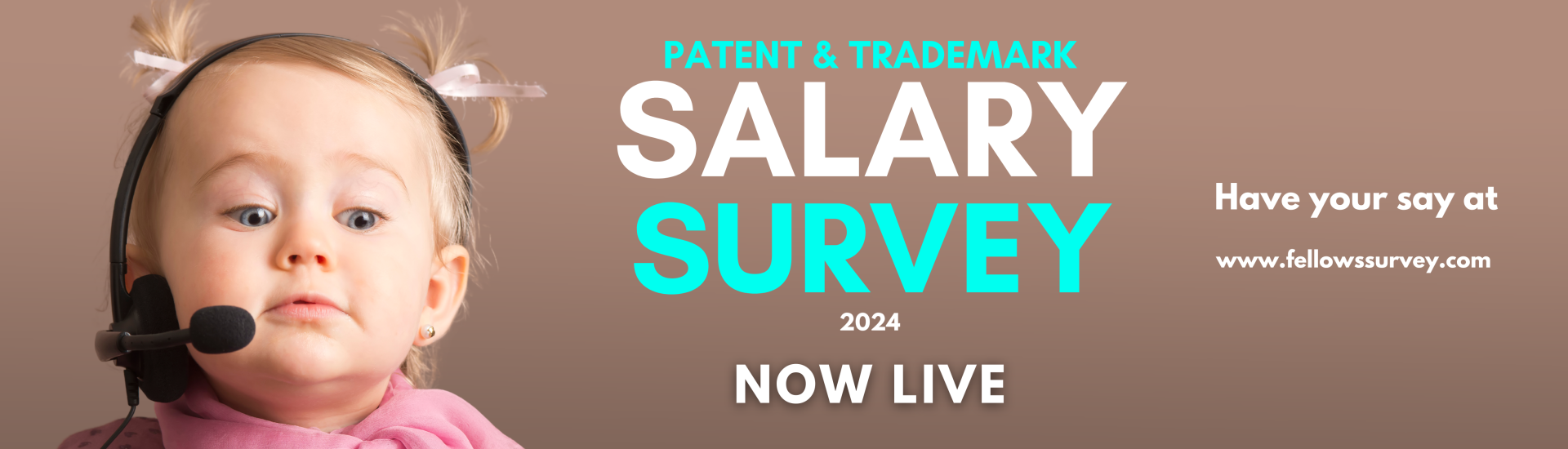 Patent and Trademark Salary Survey