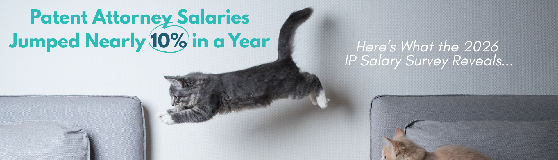 Patent Attorney Salaries Jumped Nearly 10% in a Year: Here’s What the 2026 IP Salary Survey Reveals
