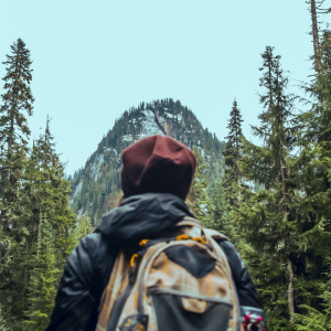 Is Partner-level recruitment having a moment?